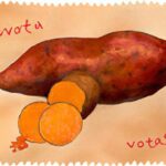 Discover Chicken Salad Chick Flavors: A Taste Adventure