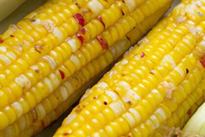 Golden Bites: The Ultimate Guide to Grilled Corn on the Cob